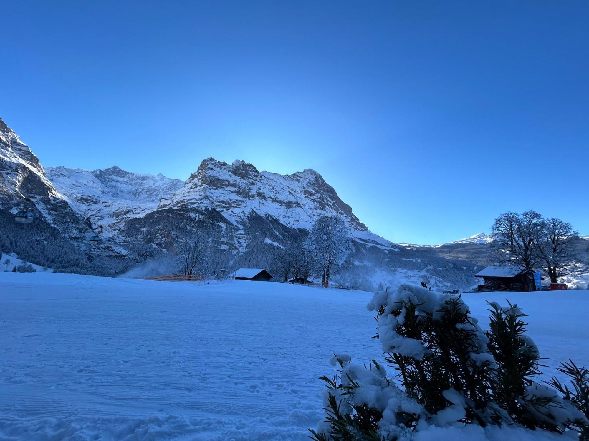 Hotel Bodmi Grindelwald Exterior photo