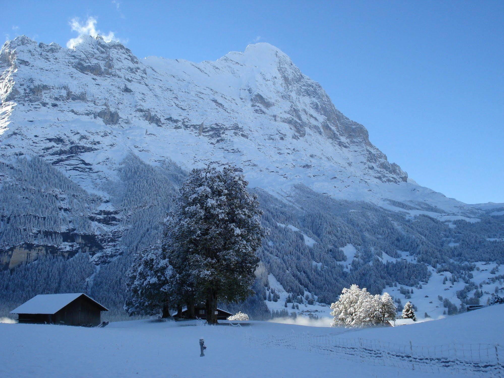 Hotel Bodmi Grindelwald Exterior photo
